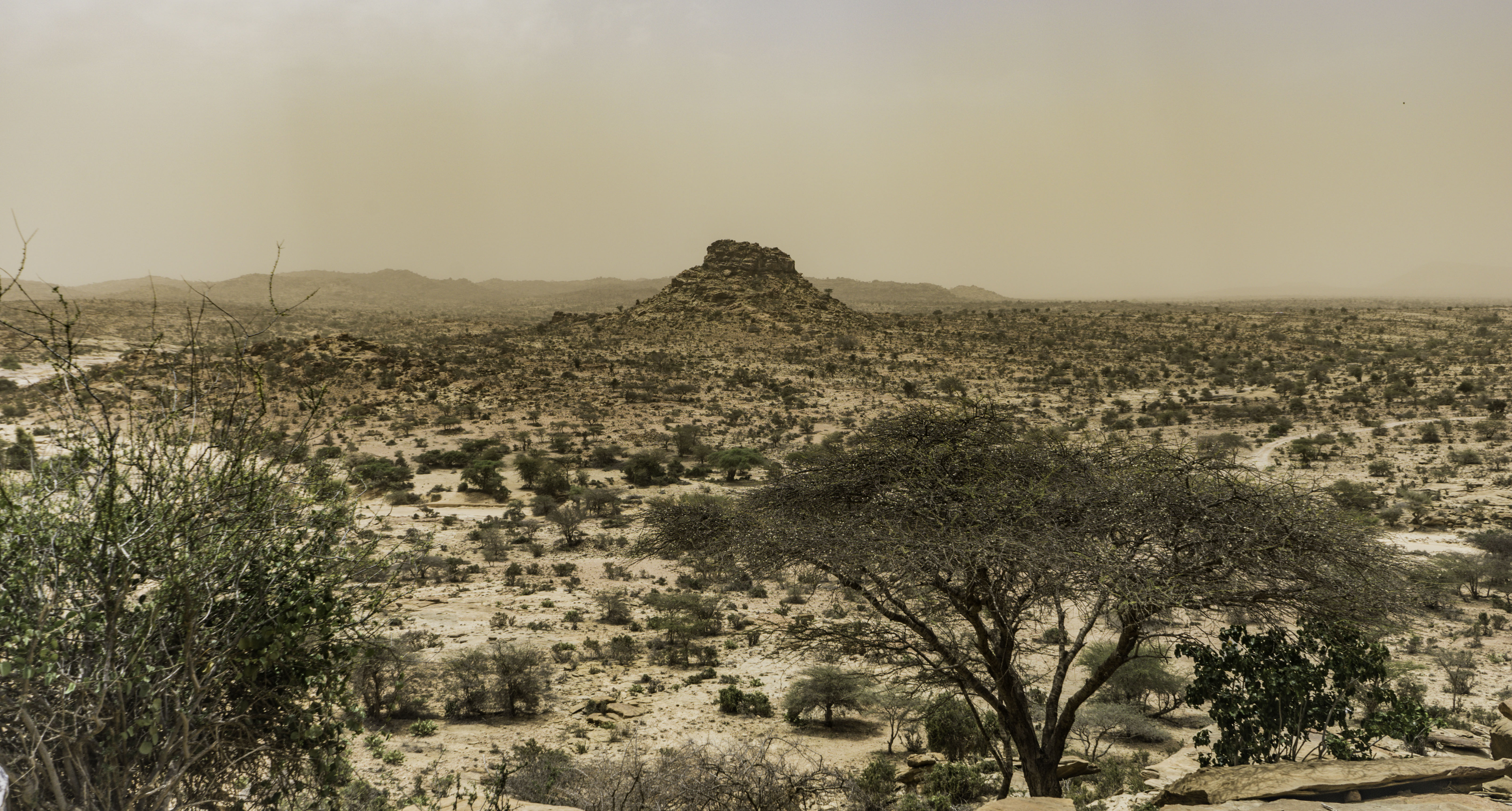 Somaliland desert